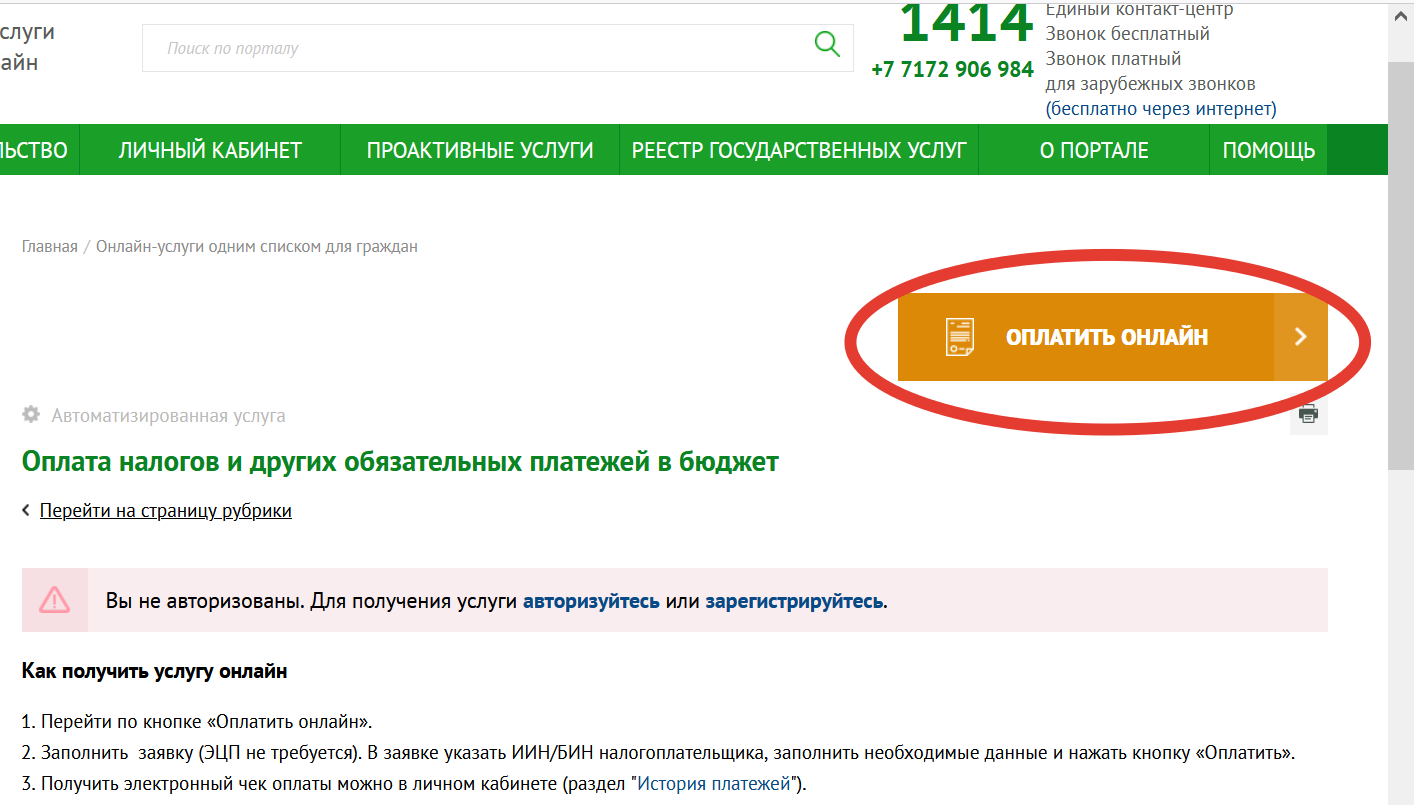 Оплата госпошлины на портале Электронного правительства